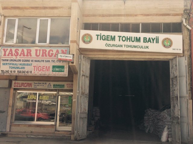 Özurgan Buğday Pazarı Merkez