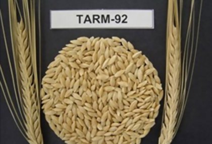 TARM-92